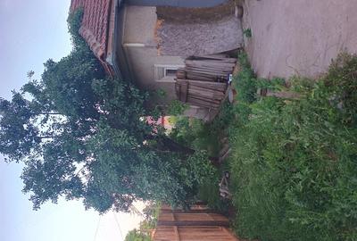 Casă cu 3 camere cu Teren 2500 Mp în Central - 3