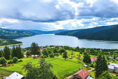 Teren de 9994 mp, în Hangu