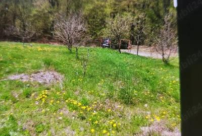 Teren de 800 mp, în Brădetu - 3