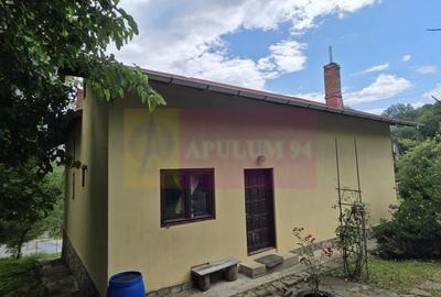 Casă cu 5 camere cu Teren 2200 Mp în Provița de Jos - 15