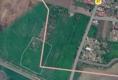 Teren de 4100 mp, în Costești