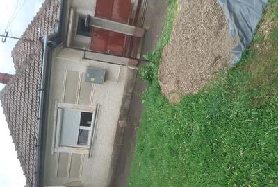 Casă cu 3 camere cu Teren 1500 Mp în Central - 1