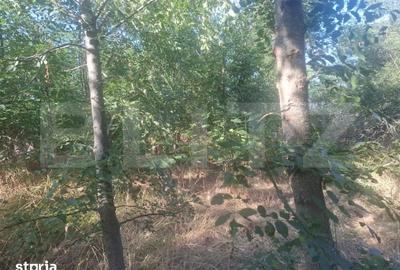Teren de 5000 mp, în Răzvad