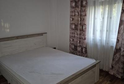 Apartament cu 2 camere semidecomandat în Broșteni - 7