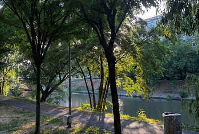 Apartament cu 2 camere nedecomandat în Iosefin - 1