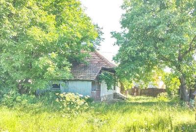 Casă cu 2 camere în Zagon