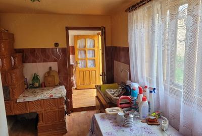 Casă cu Teren 1350 Mp în Gutinaș