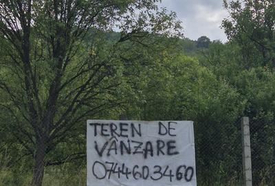Spațiu comercial, în Nicula - 1