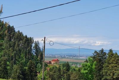 Teren Construcții intravilan de 5000 mp, în Săcele - 4