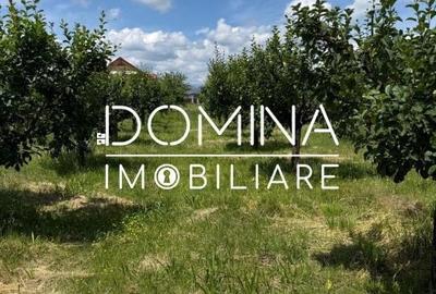 Spațiu comercial, în Preajba Mare