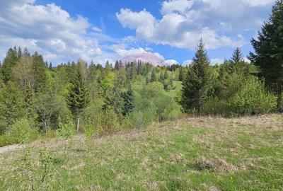 Teren agricol intravilan de 4048 mp, în Periferie - 17