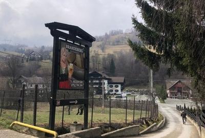 Teren investiție, de 3,879 mp, în Bran - 1