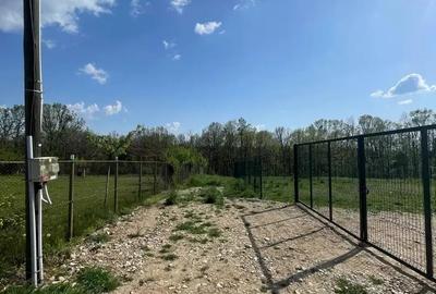 Teren în Poiana Lacului - 3