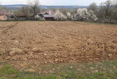 Casă cu 2 camere cu Teren 5 Mp în Zegujani - 4