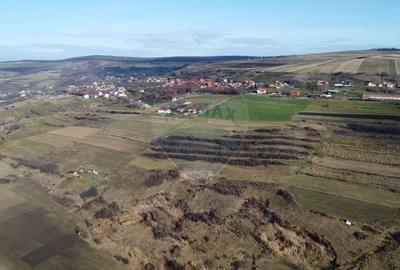 Teren agricol extravilan de 68403 mp, în Popești - 20