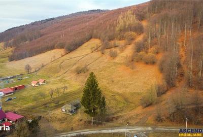 Teren de 5425 mp, în Vama Buzăului - 6