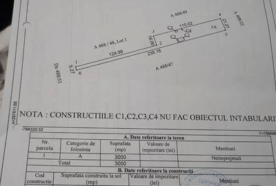 Teren de 3000 mp, în Lazu