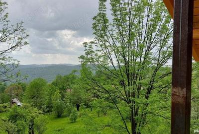 Teren de 2000 mp, în Pietriceaua - 7