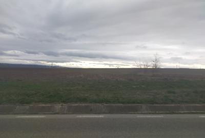 Teren de 5000 mp, în Central - 2