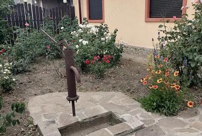Casă cu 4 camere în Central - 1