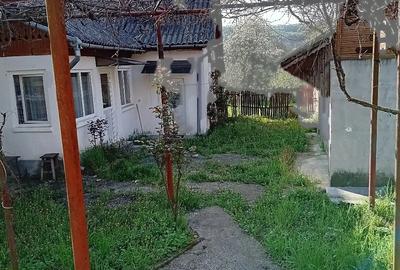 Casă cu 3 camere cu Teren 3160 Mp în Davidești