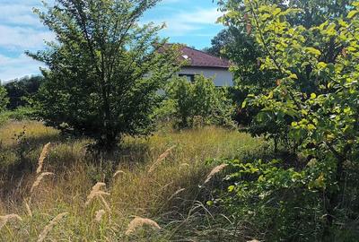 Teren de 1128 mp, în Snagov