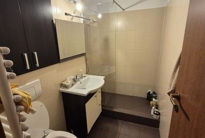 Apartament cu 4 camere decomandat în Dosu Bricii - 4