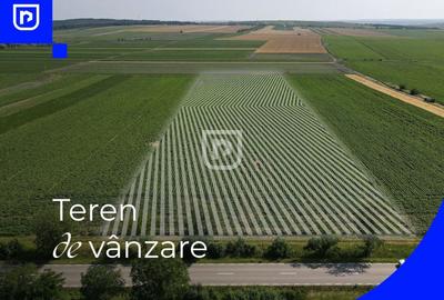 Teren agricol extravilan de 10000 mp, în Orășeni-Deal - 1