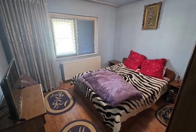Apartament cu 3 camere decomandat, mobilat în Brazda lui Novac