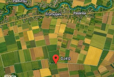 Teren de 965856 mp, în Frumușani - 2
