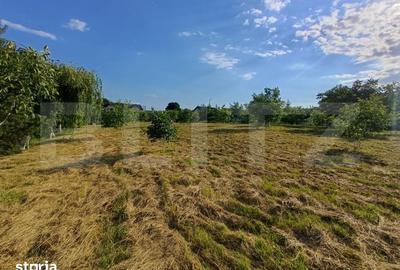 Teren de 6000 mp, în Ilișești - 5