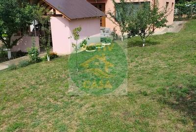Casă cu 4 camere cu Teren 7000 Mp în Central