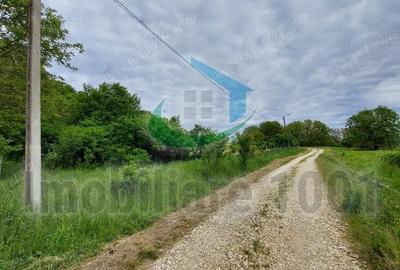 Teren de 2510 mp, în Șomcuta Mare - 7