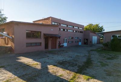 Spațiu industrial, de 1,620 mp, în Exterior Est - 41