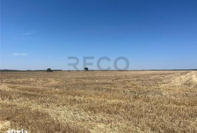 Teren de 44000 mp, în Olcea