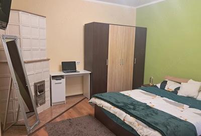 Casă cu Teren 2049 Mp în Bazoș - 5