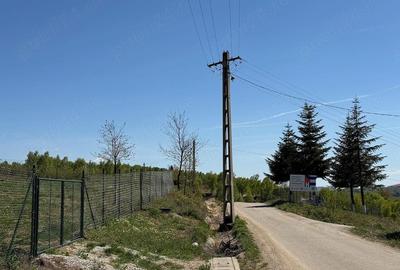 Teren de 1500 mp, în Vadu Crișului - 9