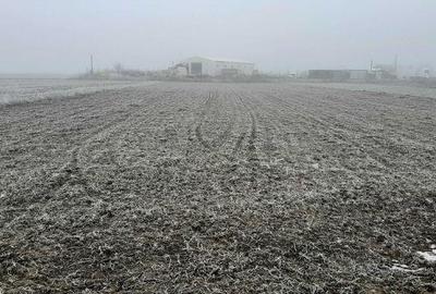 Teren de 6500 mp, în Tărtășești - 6