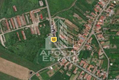 Teren de 553 mp, în Pișchia