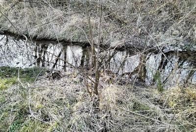 Teren de 10600 mp, în Crocna
