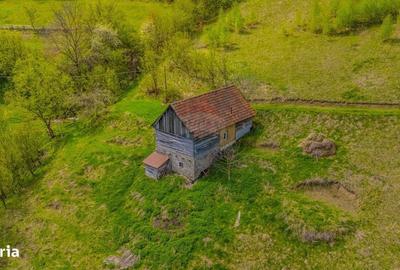 Spațiu comercial, în Poiana Mărului - 9