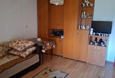 Casă cu 2 camere cu Teren 3000 Mp în Podele