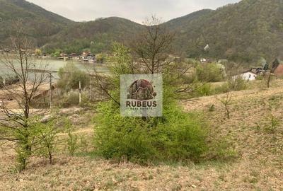 Teren Construcții intravilan de 2580 mp, în Eșelnița - 2