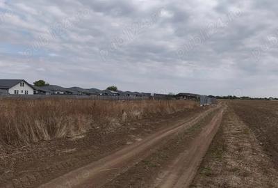 Teren de 1000 mp, în 1 Decembrie