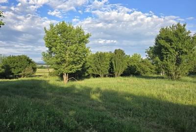 Teren de 8500 mp, în Central - 5