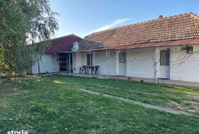 Casă cu 4 camere cu Teren 1200 Mp în Peciu Nou - 9