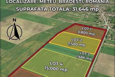 Teren de 7500 mp, în Brădești