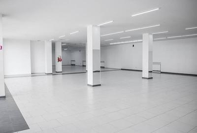 Spațiu comercial, de 325 mp, în Delfinariu - 6