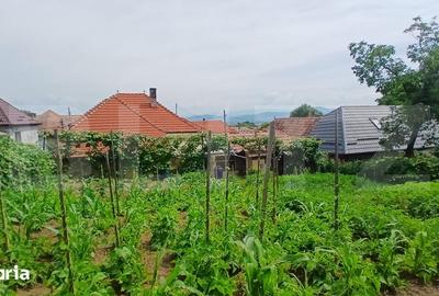 Casă cu 3 camere cu Teren 830 Mp în Central - 2