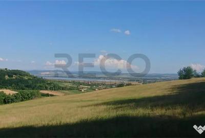Teren de 8743 mp, în Tileagd - 8